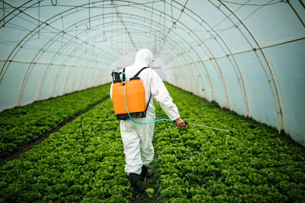 Pest Control for Restaurants in Broadway, VA