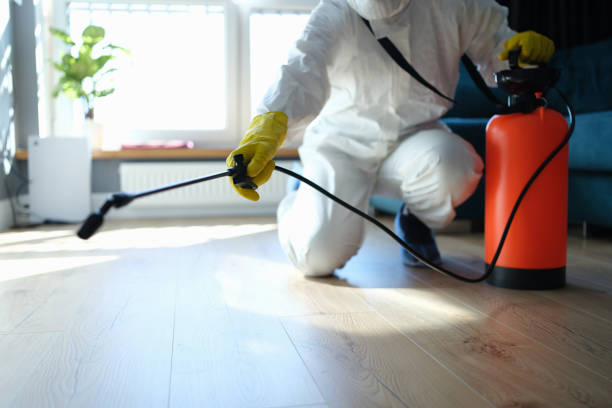 Best Cockroach Control Services  in Broadway, VA