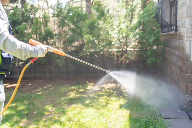 Best Pest Inspection Near Me  in Broadway, VA