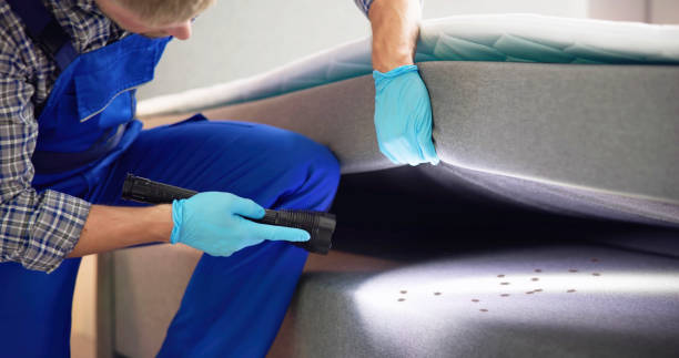 Best Pest Removal Services  in Broadway, VA