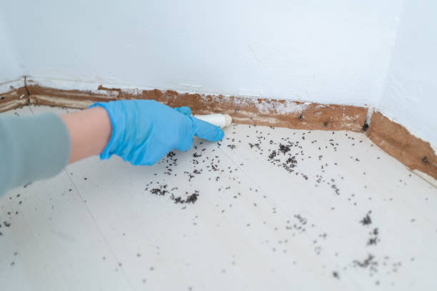 Best Wildlife Control Services  in Broadway, VA