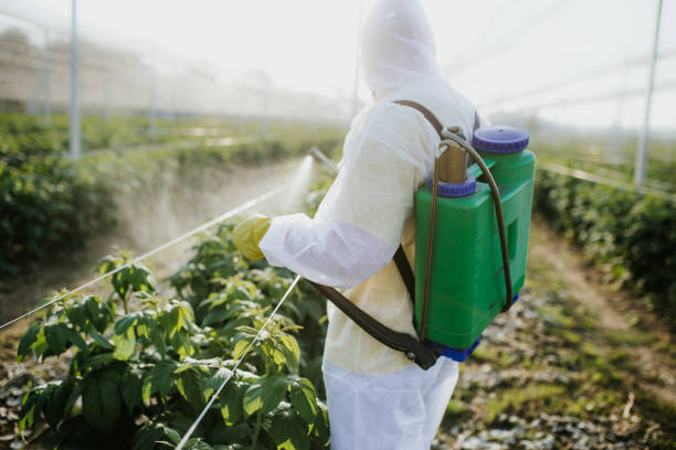 Best Pest Prevention Services  in Broadway, VA